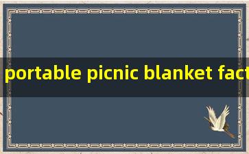 portable picnic blanket factory
